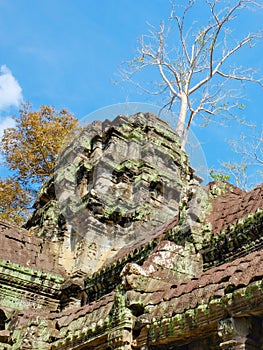 Image of the famous ruins of the Ta Prohm temple, a key tourist attraction within the Khmer region of Cambodia