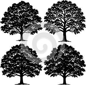 Collection of Four Black Tree Silhouettes