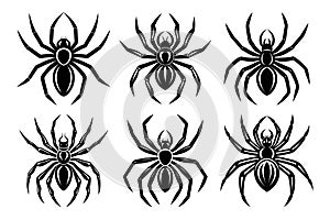 Set of Stylized Black Spider Silhouettes on White Background