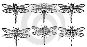 Set of Six Stylized Dragonfly Illustrations in Black and White