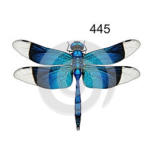 Blue dragonfly with number 445