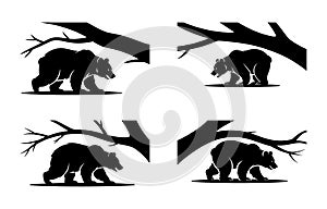 Four Black Bear Silhouettes Under Tree Branches