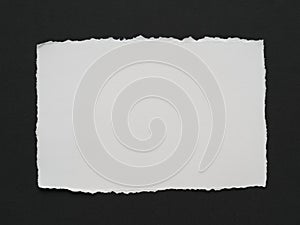 Blank White Torn Paper on Dark Textured Background