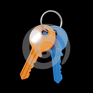 Two keys on black background