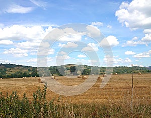 Image of field with hay rolls