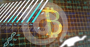 Image of financial data processing over bitcoin symbol on black background