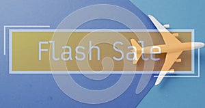 Image of flash sale text over plane on blue background