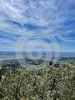 City of Florence seen from Fiesole photo