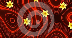 Image of flowers on red and black wavy background
