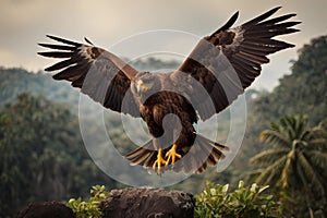 image of an eagle generated from ai generate
