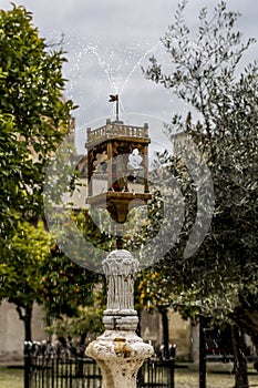 Image of a fountain with orange trees background