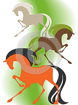 Image of four silhouettes thoroughbred horses