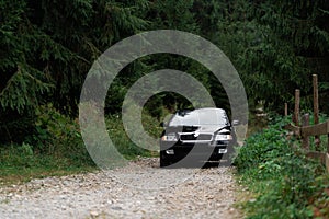 The image in front of the sports car scene behind as the sun going down. Clean shiny black car stopped on the forest road.