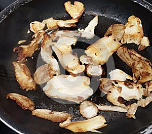 Image of frying pan cooking sliced boletus mushrooms with only garlic accompaniment. Delicious dish