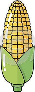 Flat Vector Corn on the Cob Graphic