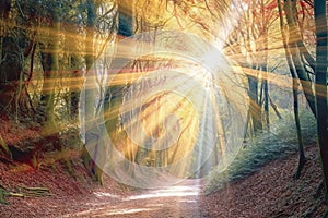 spirit holy growth personal mension inner belief religious spirituality forest light Tunnel