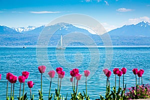 Image of Geneva Lake with Sailing boat and mountains on the background