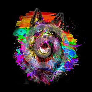 Image of german shepherd bright colorful background