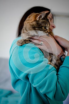Image Of Girl`s Hand Stroking Cat At Home.
