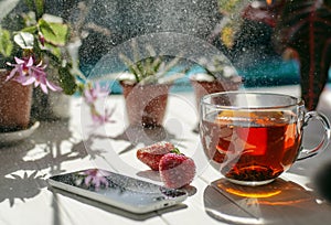 Image of glass cup of tea, red strawberries, smartphone and flowers in pots on a light wooden table.
