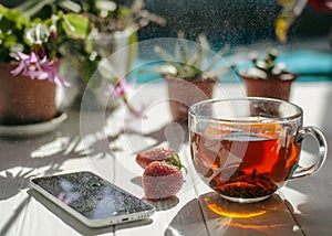 Image of glass cup of tea, red strawberries, smartphone and flowers in pots on a light wooden table.