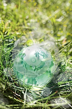 Glass globe on green grass