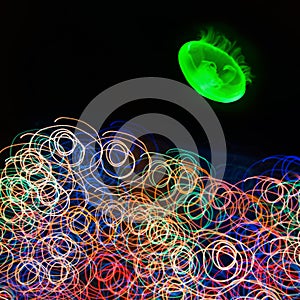 Image of glowing jellyfish