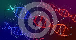 Image of glowing white networks over red and blue dna strands on dark background