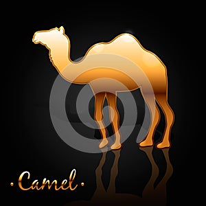 The image of a golden camel