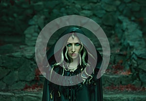 Image of Gorgon Medusa, braid hair and gold snakes, close-up portrait. Gothic make-up in green shades. Background of