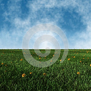 Image of green grass field with dandelions and sky