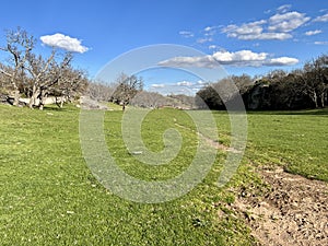 Image of a green meadow on a sunny day. Mount Valonsadero, Soria, San Juan festivities photo