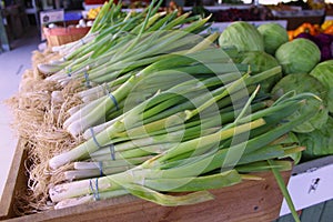 Image of green onions at a Farmer`s Market