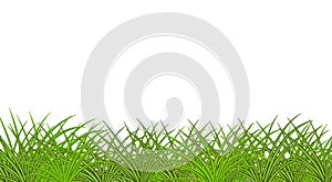 Image of green realistic grass. Profile view. Lawn. illustration