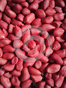 Image of groundnut in india