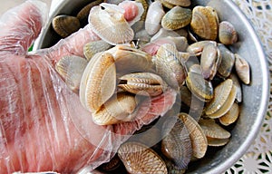 Image of hand holding raw seafood