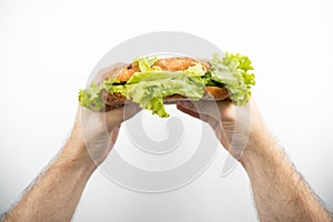 Image of hands holding fresh sandwich with salad leaf on  white background