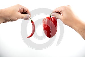 Image of hands holding red fresh chilly pepper and sweet red pepper on  white background