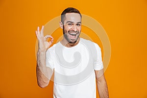 Image of handsome guy 30s with beard and mustache showing ok sign while standing, isolated over yellow background