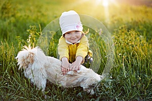 Image of happy charming little girl playing with dog Pekingese in meadow, female child sitting in green grass, wearing yellow