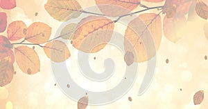 Image of happy thanksgiving day text over autumn leaves on yellow background
