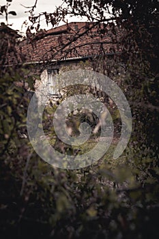 The image of a haystack in the background among weeds. photo