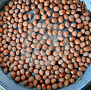 image of hazelnuts, nuts and antioxidants theme