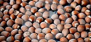 image of hazelnuts, nuts and antioxidants theme