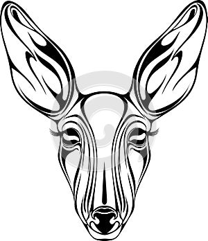 An image of the head of a quivering doe