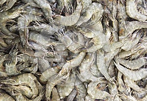 An image heap shrimp big prawns in the basket for sale.In a seafood market seashell