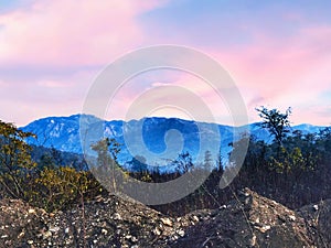 Image of hills in forest