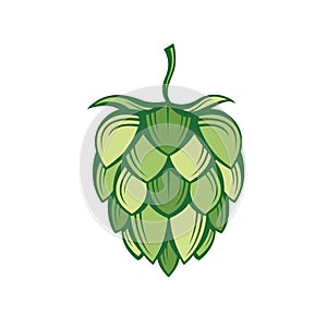 Image of hops