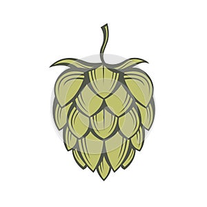 Image of hops