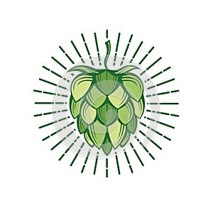 Image of hops